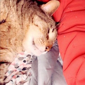 Meet your Posher, Natalie